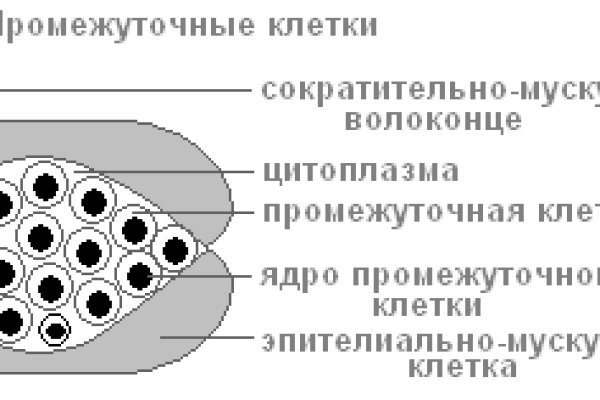 Kraken marketplace