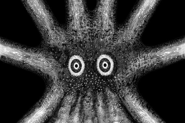 Kraken darknet зеркала
