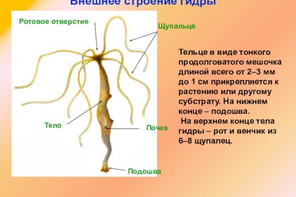 Как купить наркотик в кракен