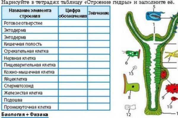 Кракен безопасный вход