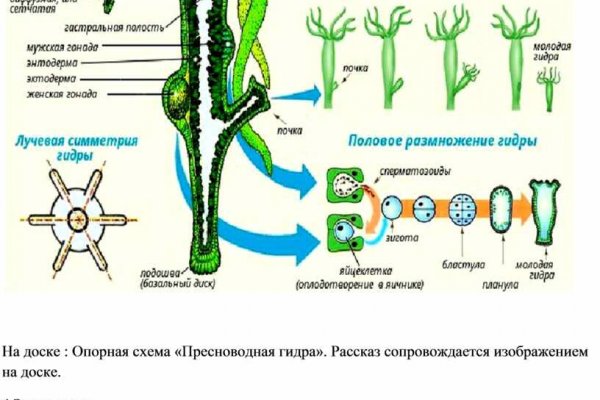 Что за приложение кракен