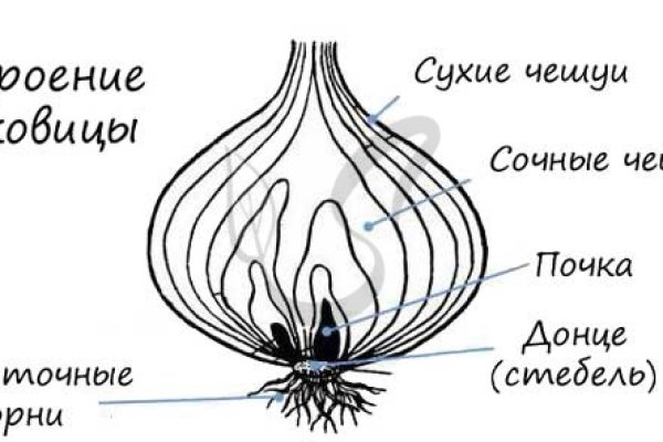 Кракен макет даркнет