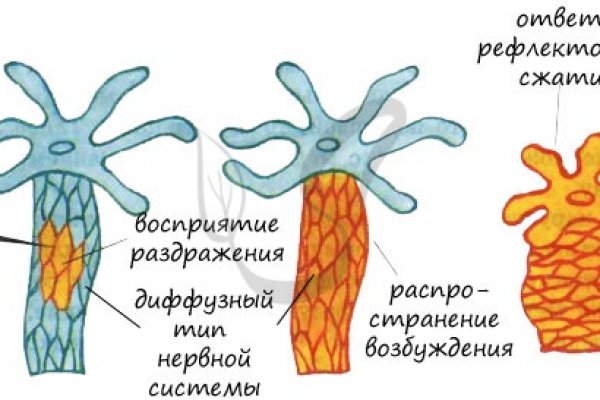 Kraken зеркало стор