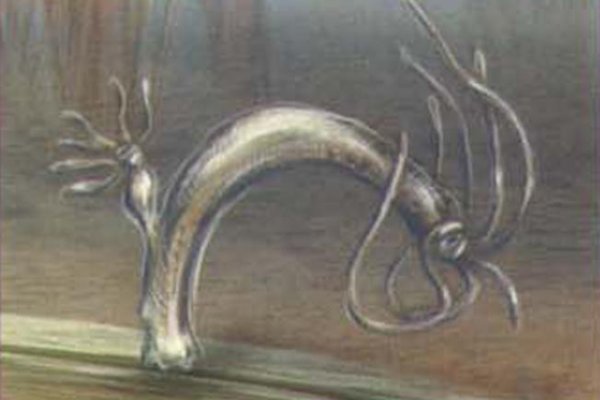 Kraken зеркало krakens13 at