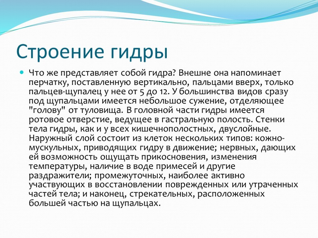 Кракен вывод средств